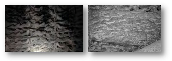 6365724214192167691959672.jpg 6365724214192167691959672.jpg